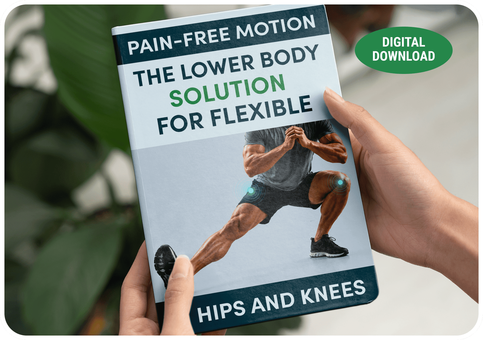 Pain-Free Motion bonus guide